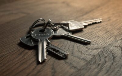 Location Airbnb et meublés niche : ce qui change