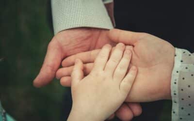 Succession et handicap : comment protéger et transmettre ?