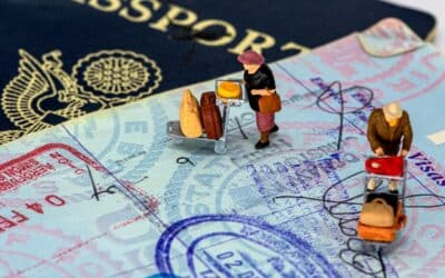 Accompagnement fiscal des expatriés en France, retrouver un cap